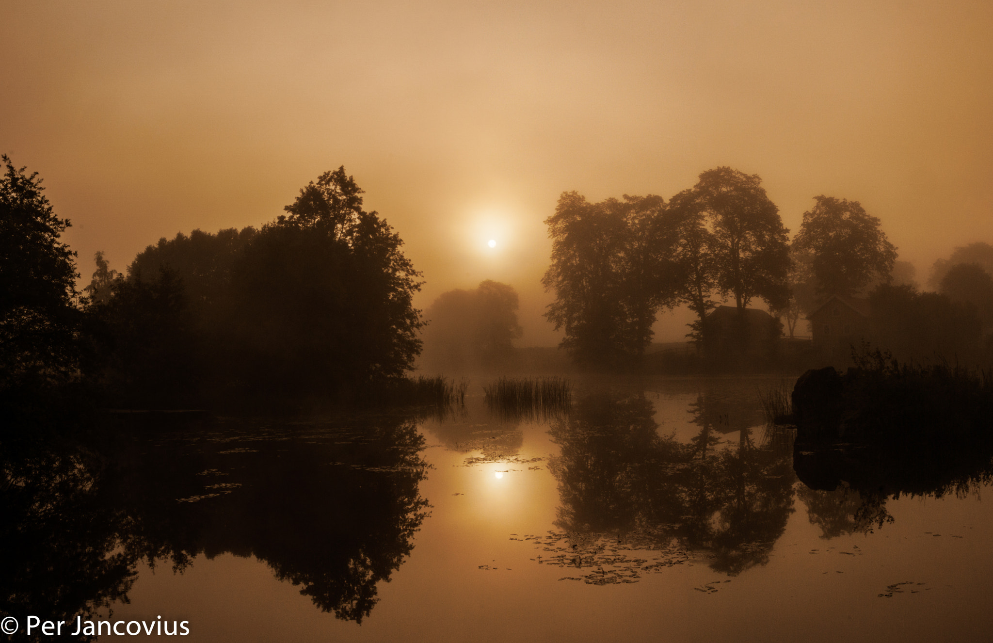 Canon EOS 40D sample photo. Komstad kvarn foggy sunrise panorama photography