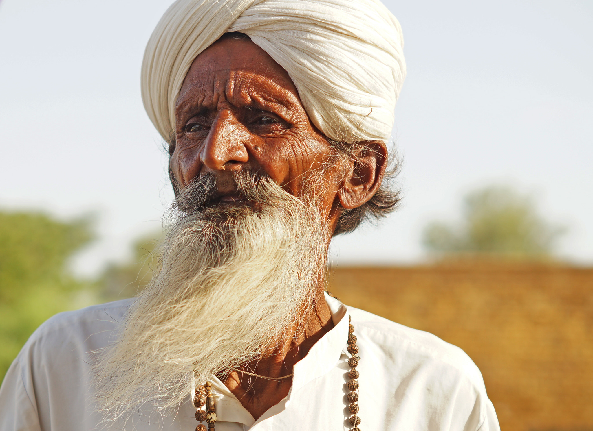 Sony SLT-A57 + Sony DT 50mm F1.8 SAM sample photo. Rajasthani grandpa photography