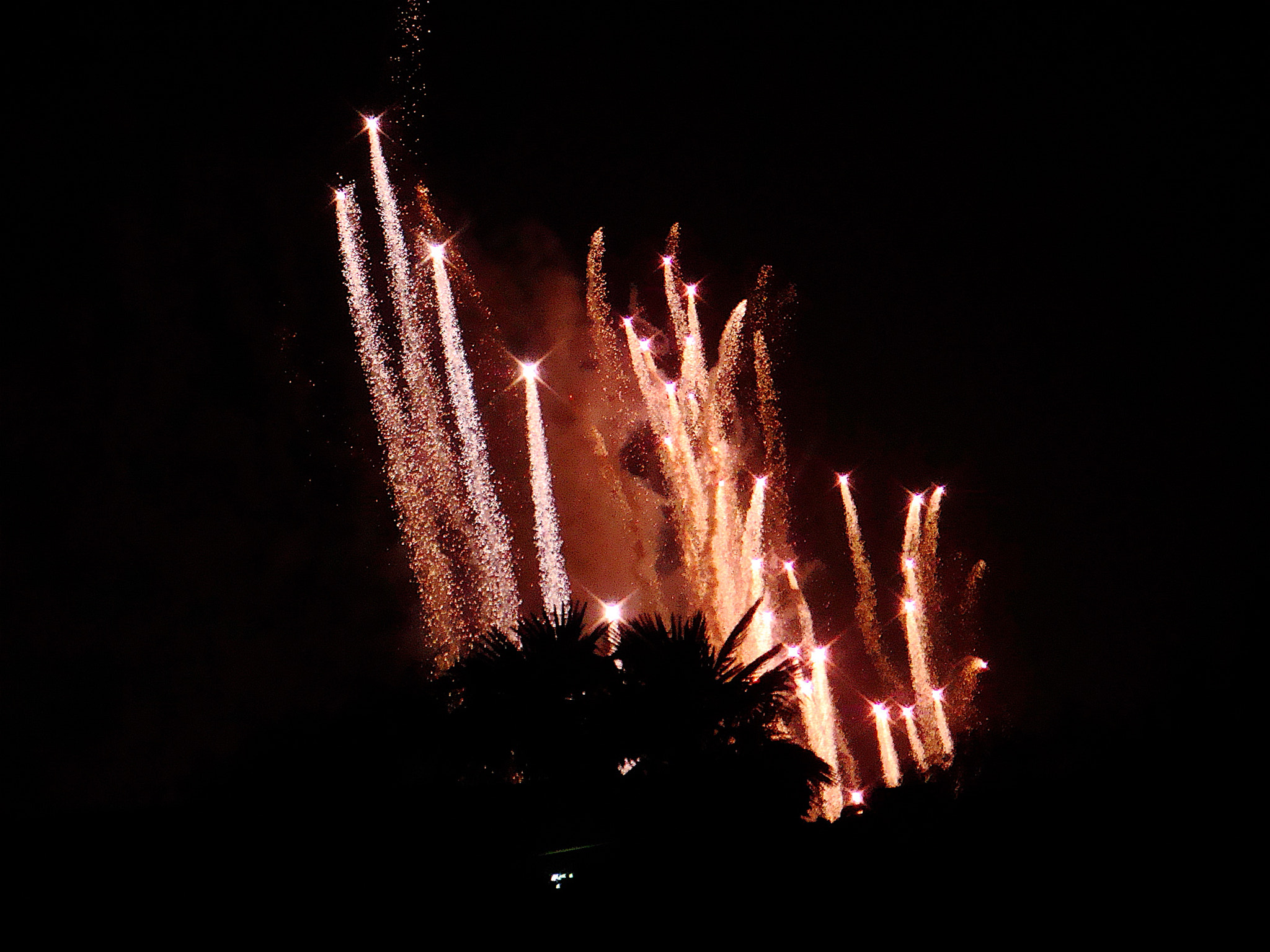 Sony DSC-T70 sample photo. Firework photography