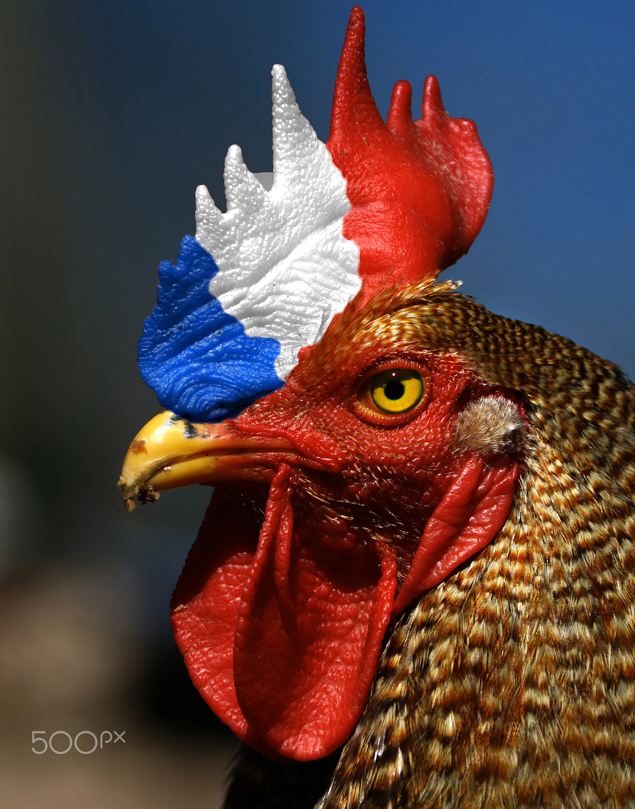 Canon EF 28-300mm F3.5-5.6L IS USM sample photo. Symbol of france photography