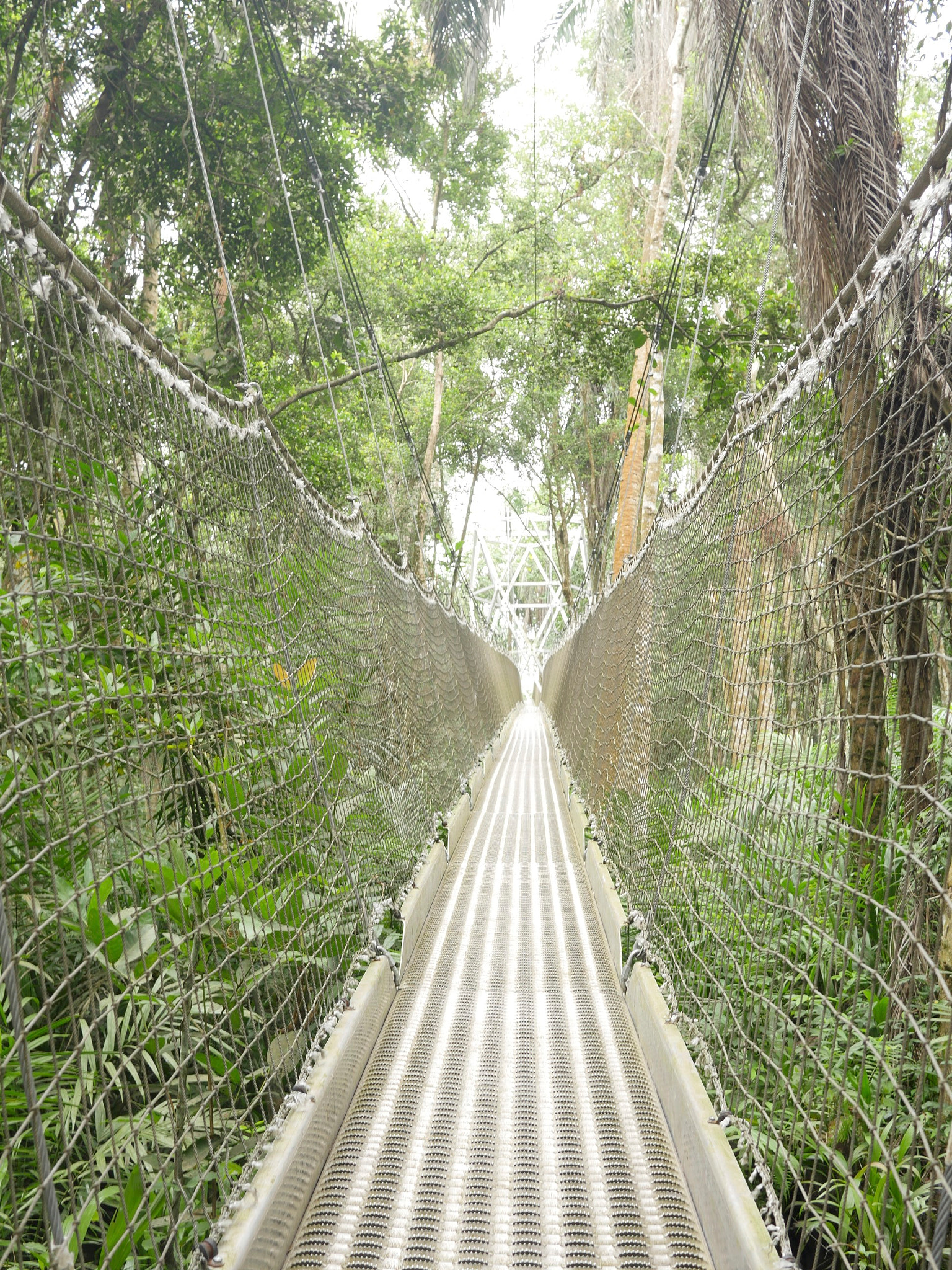 Panasonic Lumix DMC-GX8 + Panasonic Lumix G 20mm F1.7 ASPH sample photo. Lekki conservation center photography