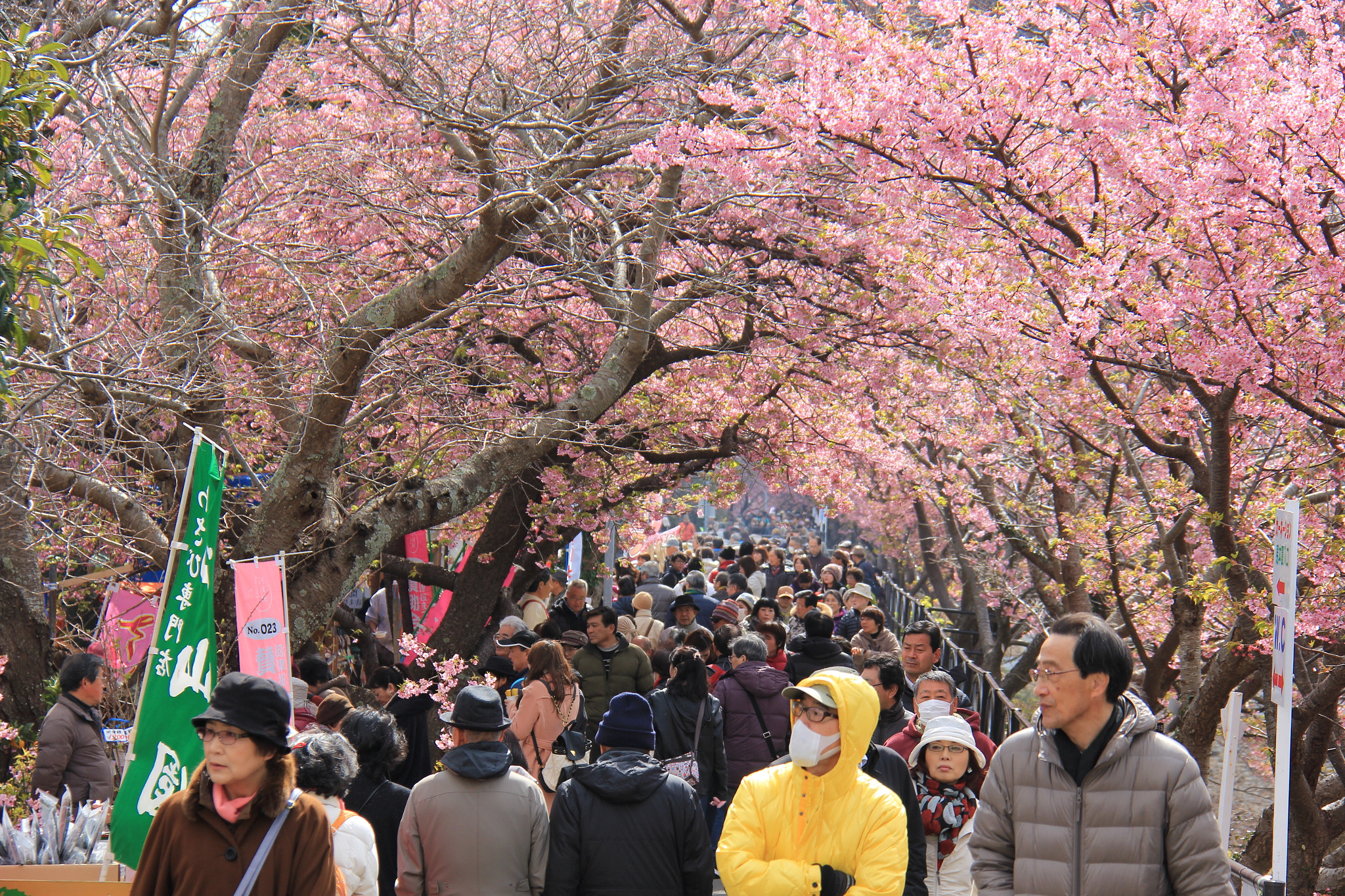Canon EF-S 18-200mm F3.5-5.6 IS sample photo. My traveler picture photography