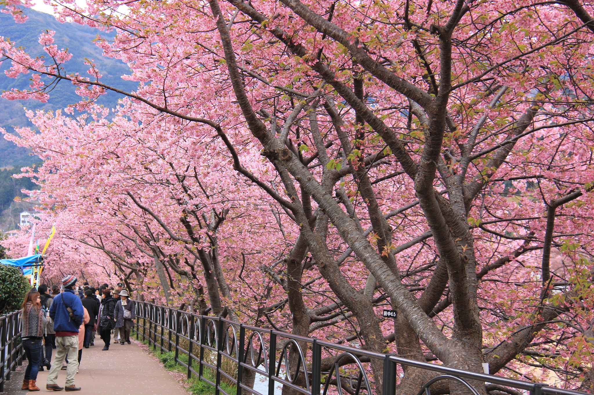 Canon EF-S 18-200mm F3.5-5.6 IS sample photo. My traveler picture photography