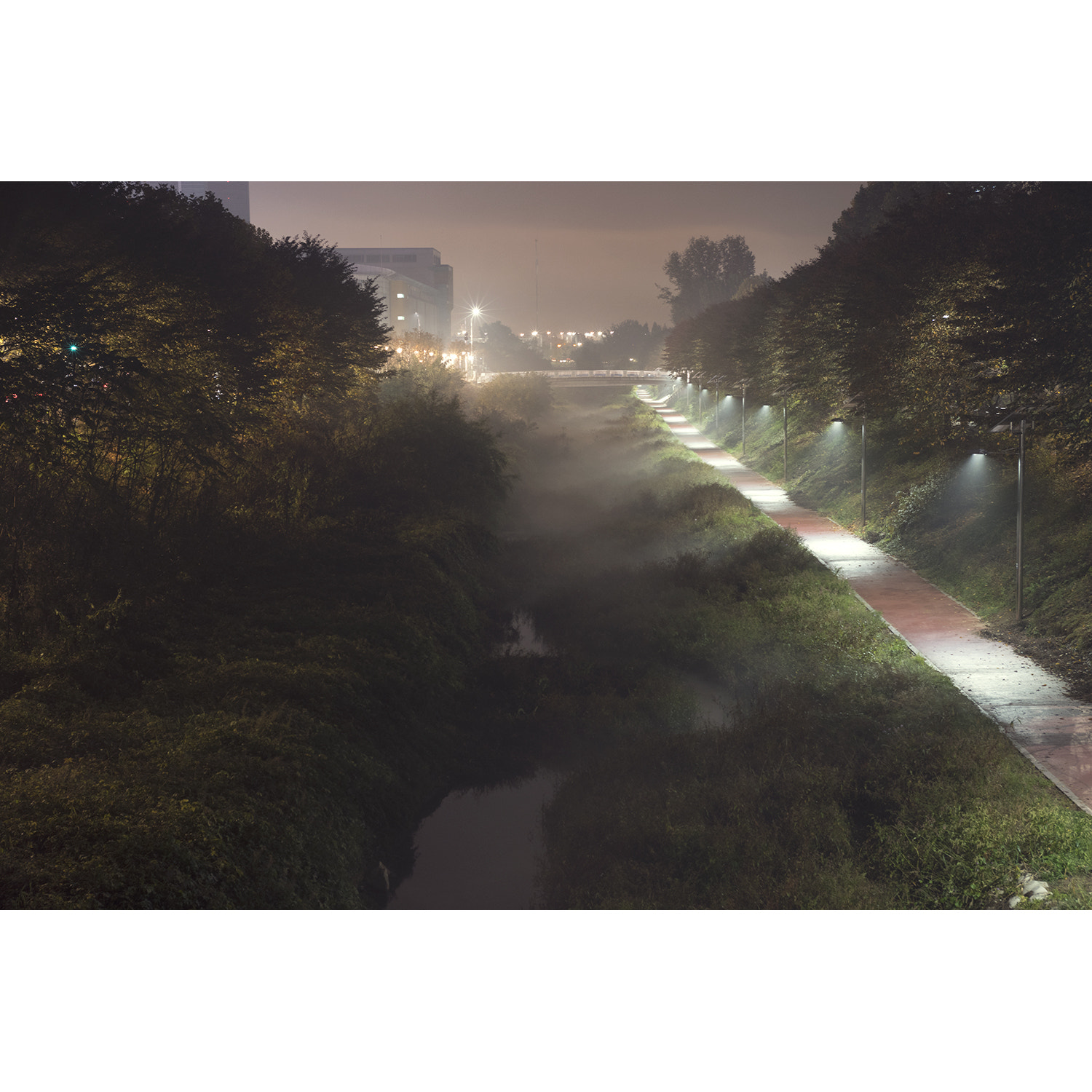 Nikon D810 + AF Zoom-Nikkor 35-70mm f/2.8D sample photo. Fog light photography