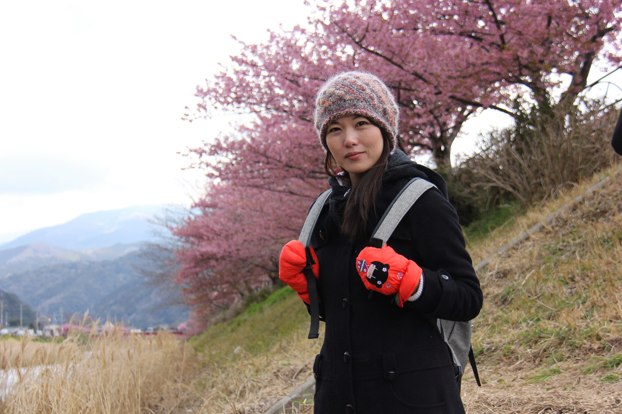 Canon EF-S 18-200mm F3.5-5.6 IS sample photo. My traveler picture photography