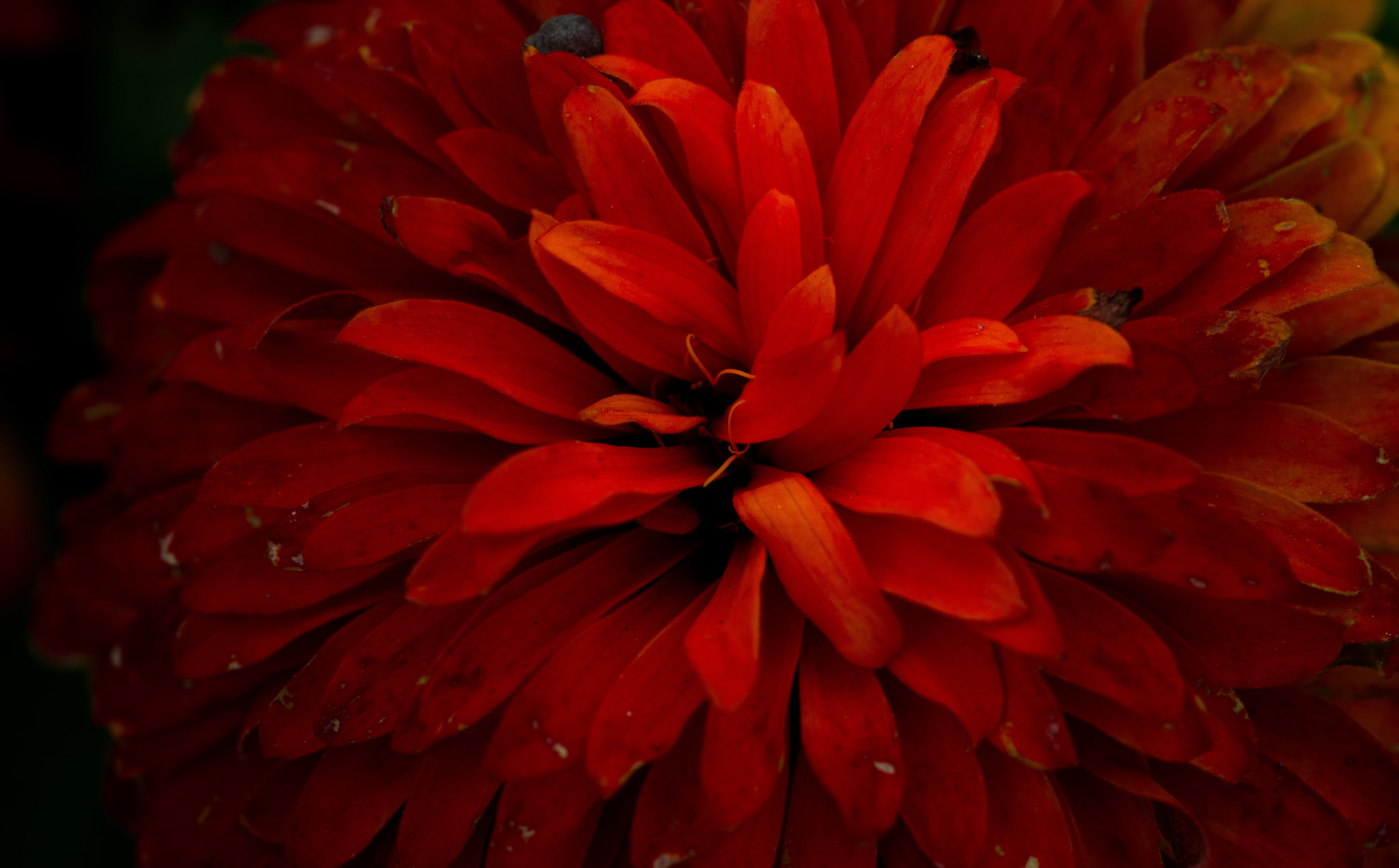 Nikon D800E sample photo. Abyss photography