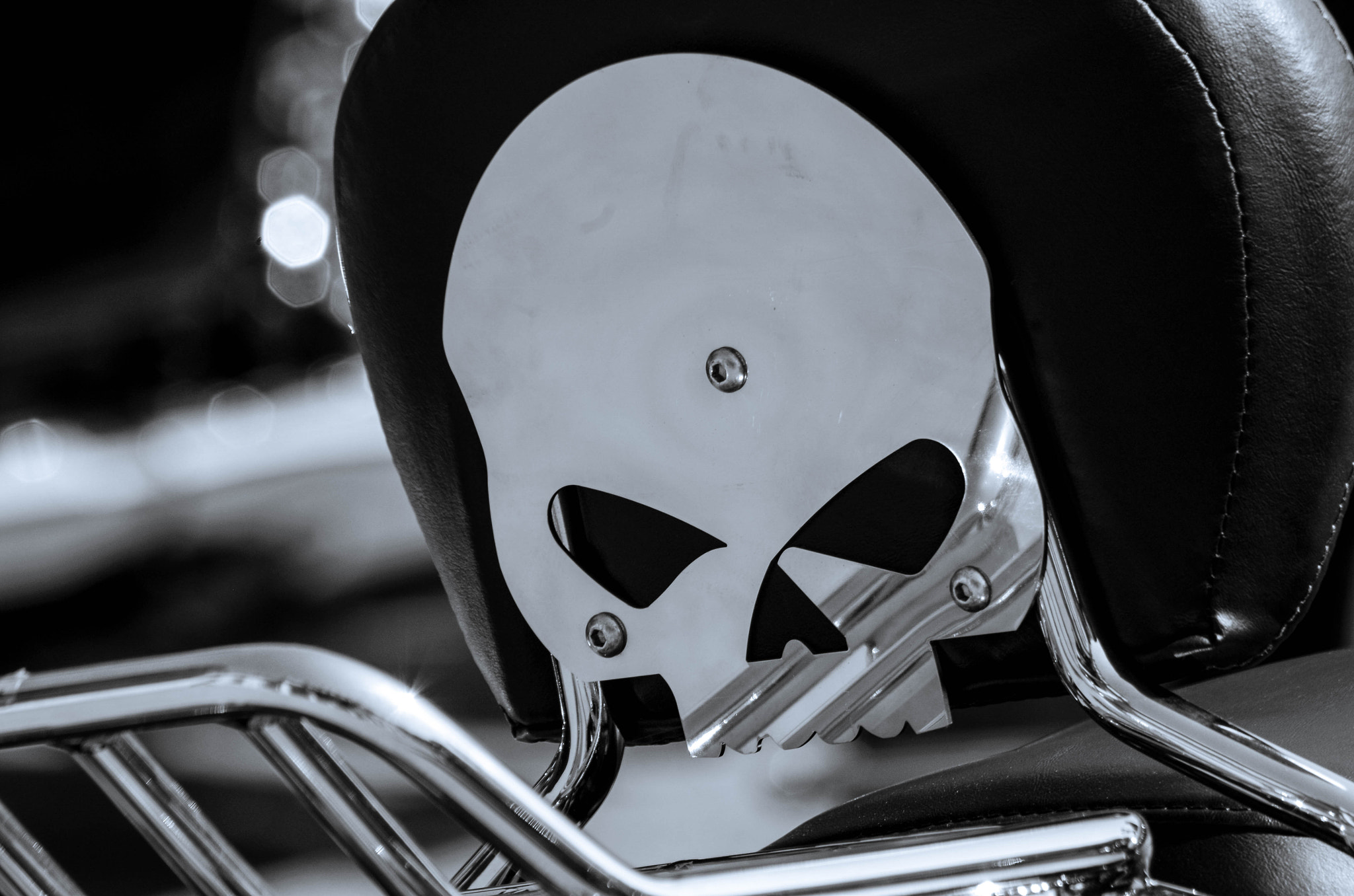 smc PENTAX-DA L 55-300mm F4-5.8 ED sample photo. Bew skull photography
