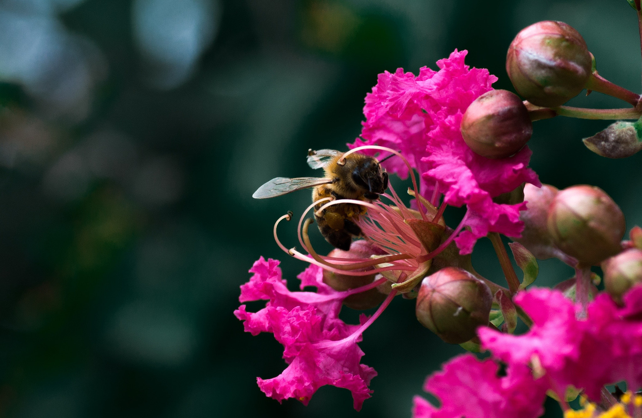 Nikon D800E sample photo. Hug? or feed photography