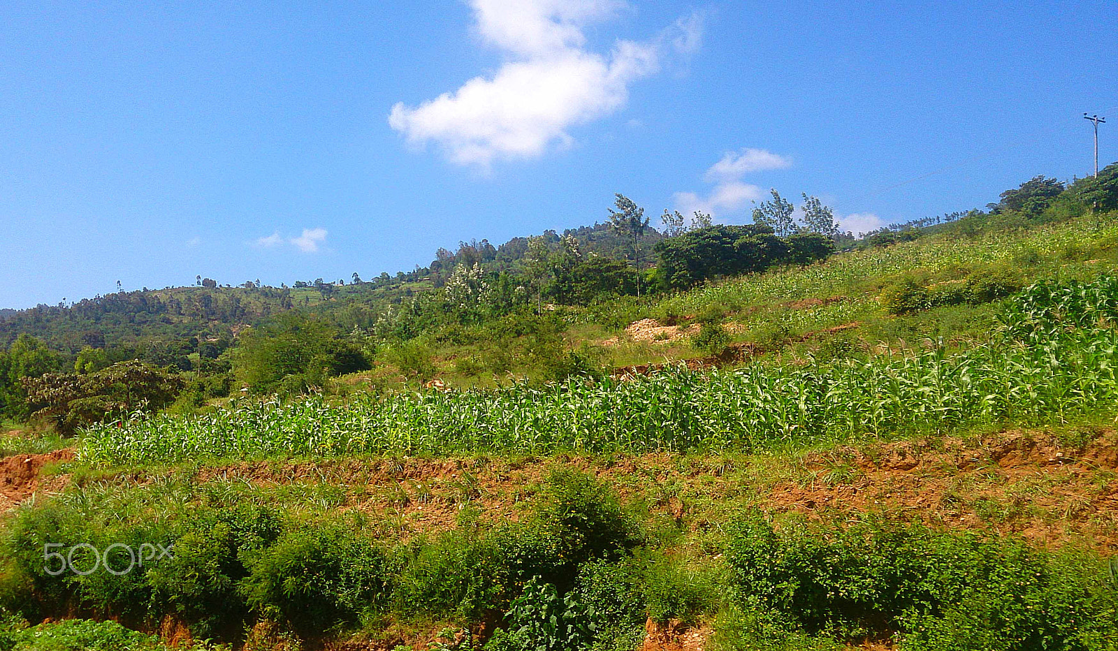 Sony Xperia ZR sample photo. On the move photography