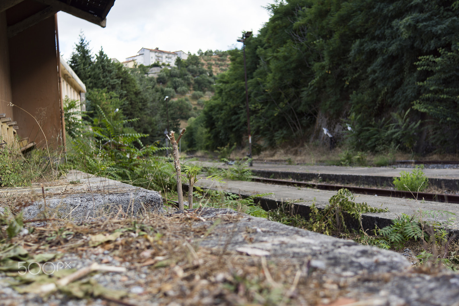 Sony 28mm F2.8 sample photo. The station photography
