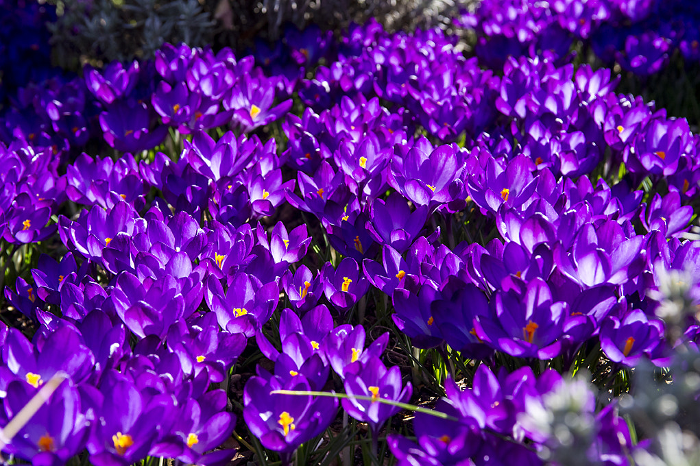 Nikon AF-S Nikkor 28-70mm F2.8 ED-IF sample photo. _d3l1768.jpg photography