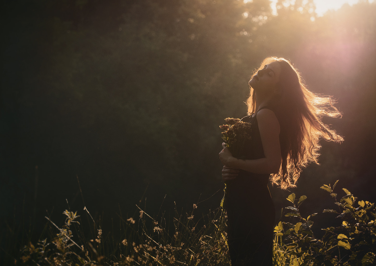 Olympus PEN E-PL5 sample photo. Golden hour vanessa photography