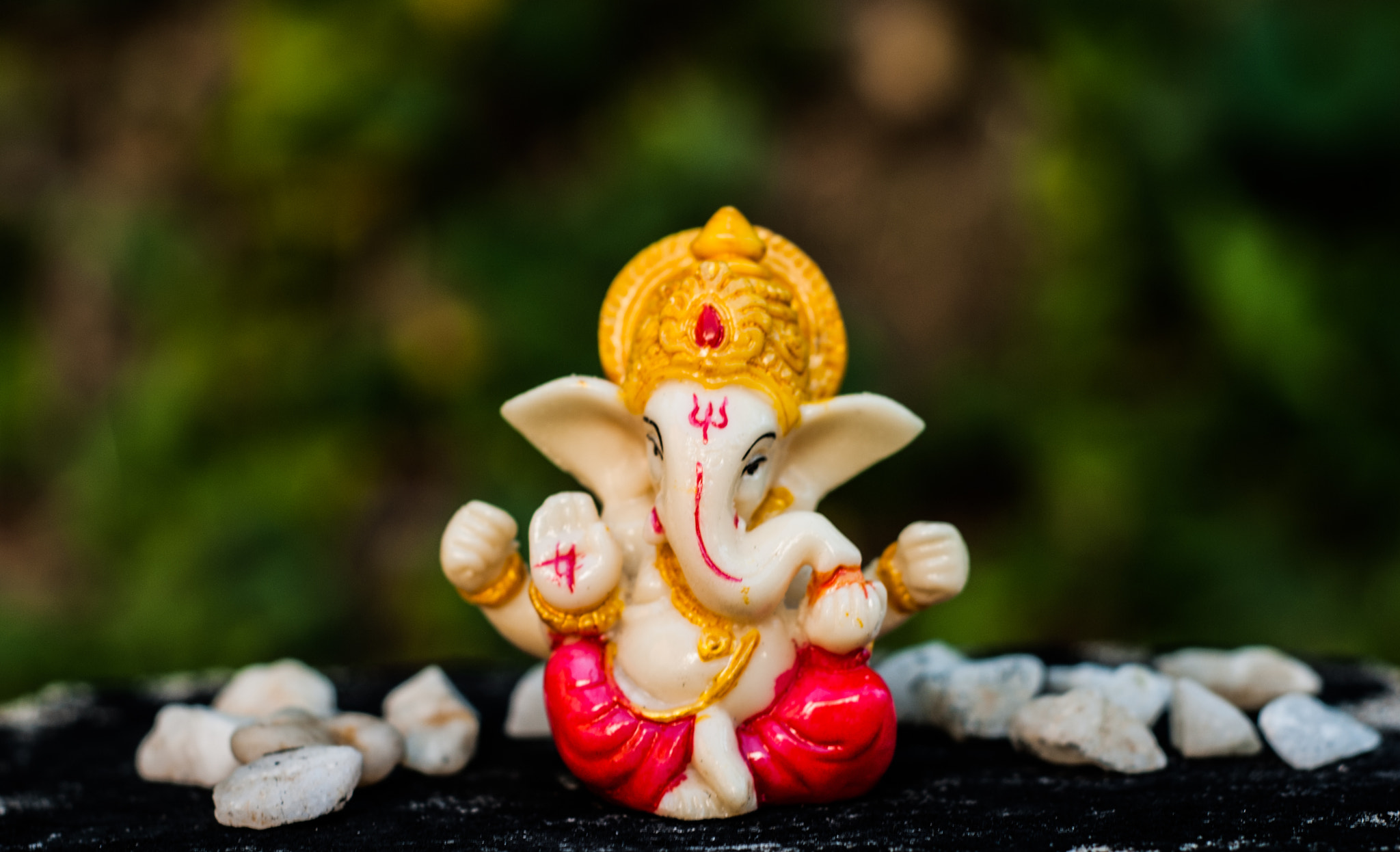 Nikon D60 + Nikon AF Nikkor 50mm F1.8D sample photo. Lord ganesha photography