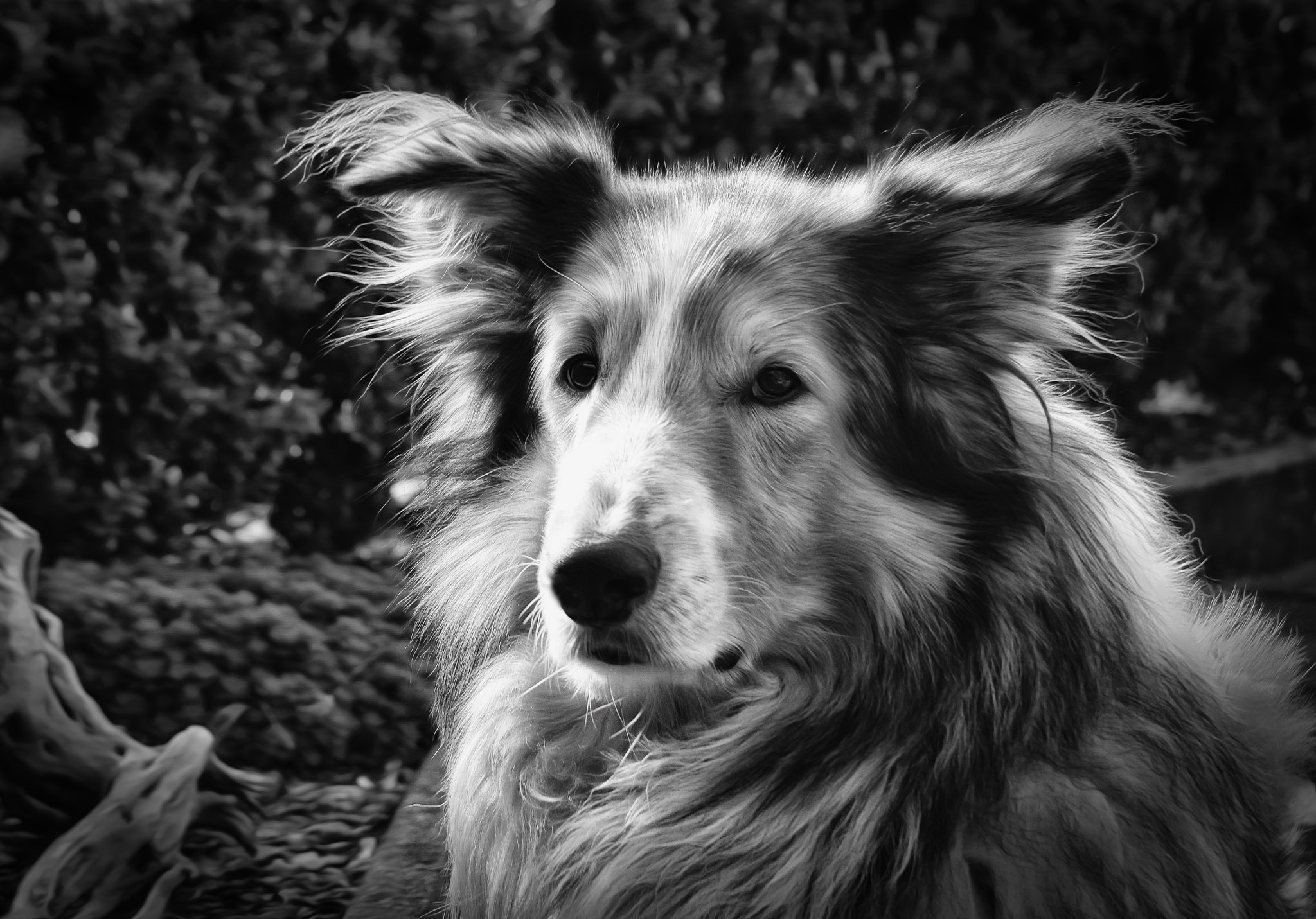 Canon EOS 500D (EOS Rebel T1i / EOS Kiss X3) sample photo. Rocky photography