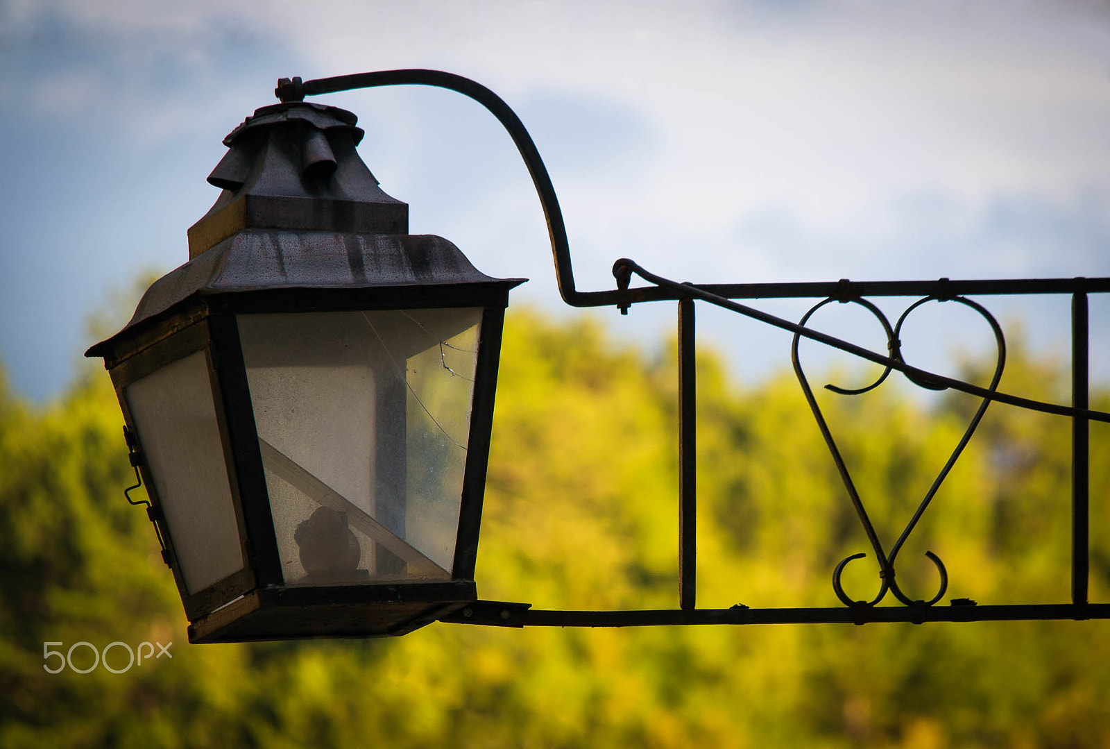 Samsung NX300 + Samsung NX 50-200mm F4-5.6 ED OIS sample photo. From draguc with love photography