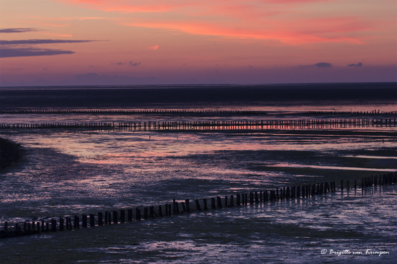 Canon EOS 60D + Canon EF 100-400mm F4.5-5.6L IS II USM sample photo. Sunrise at the waddenzee 5.00 pm photography