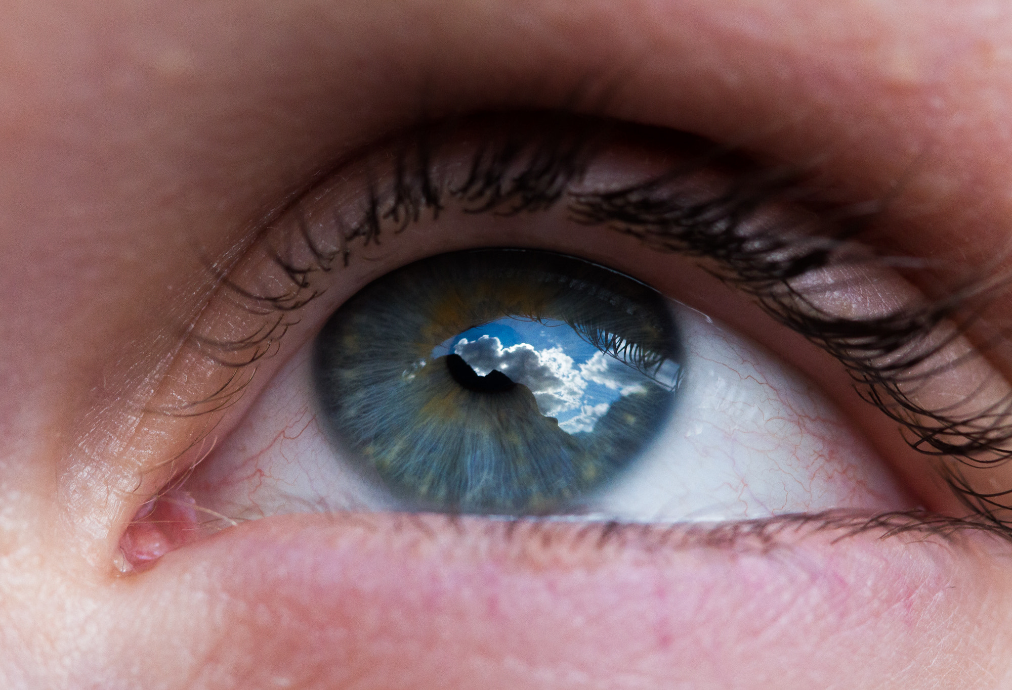 Canon EF 100mm F2.8 Macro USM sample photo. The world through the eye of a stranger photography