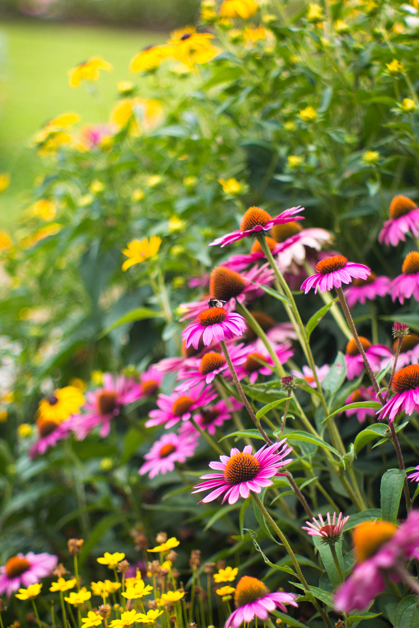 Canon EF 35-80mm f/4-5.6 sample photo