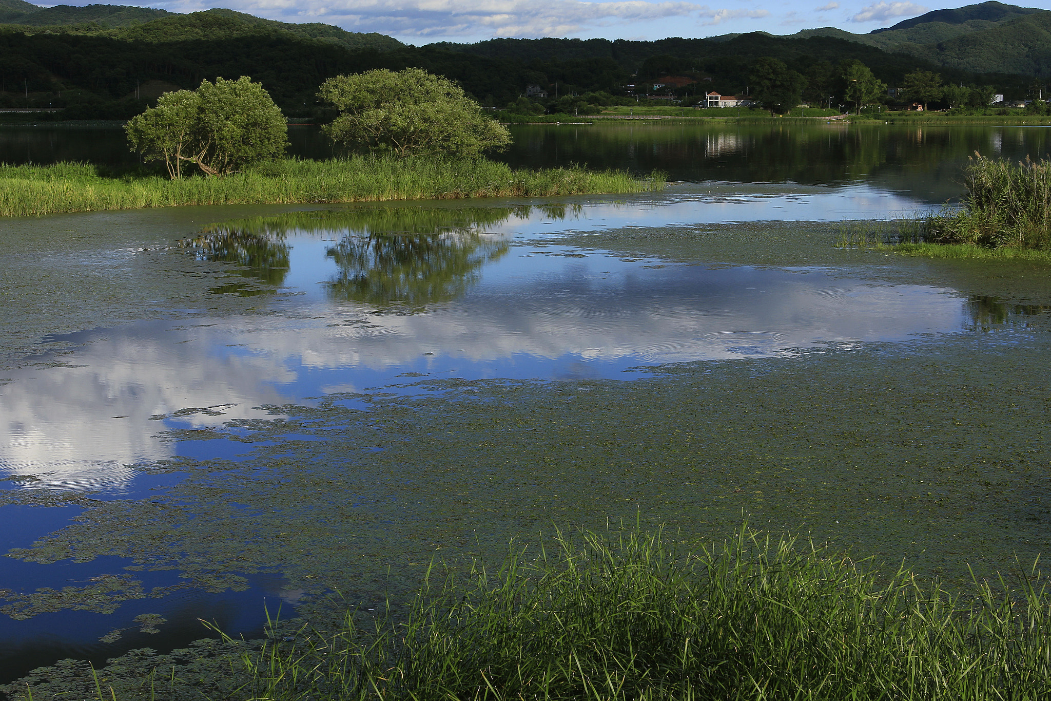 Canon EOS 60D + Canon EF 16-35mm F2.8L USM sample photo