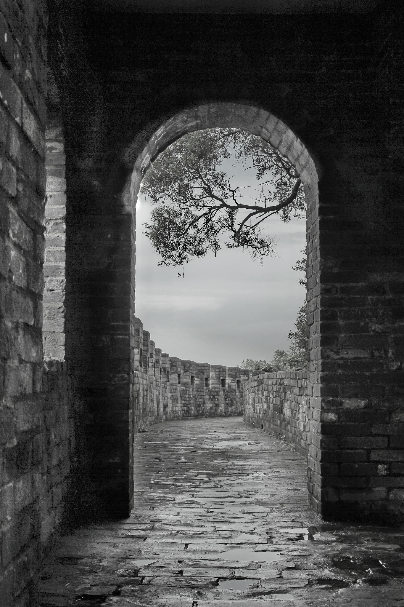 Canon EOS 60D + Sigma 18-50mm f/2.8 Macro sample photo. Black and white photography