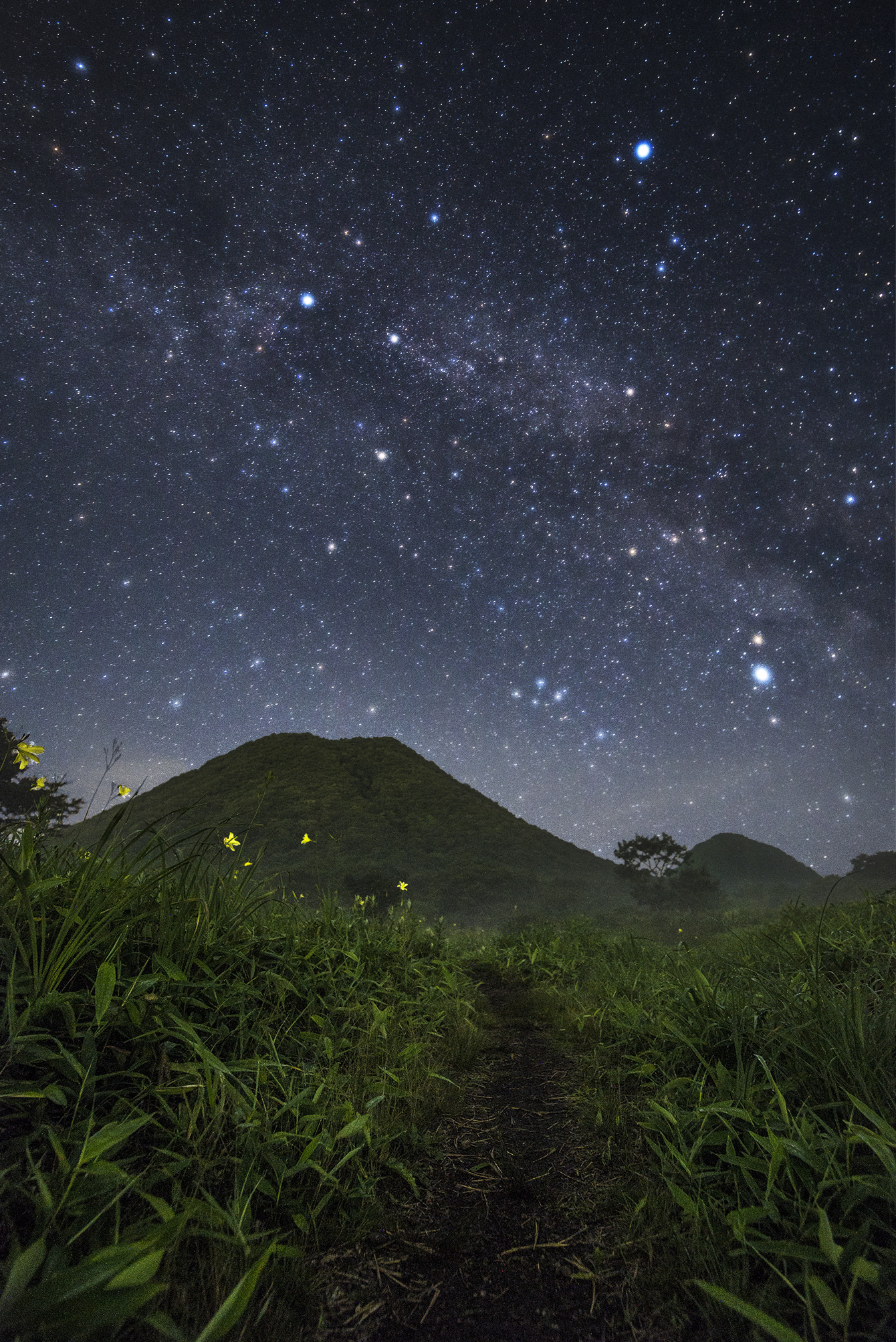 Tamron SP 15-30mm F2.8 Di VC USD sample photo. Ahead of this road photography