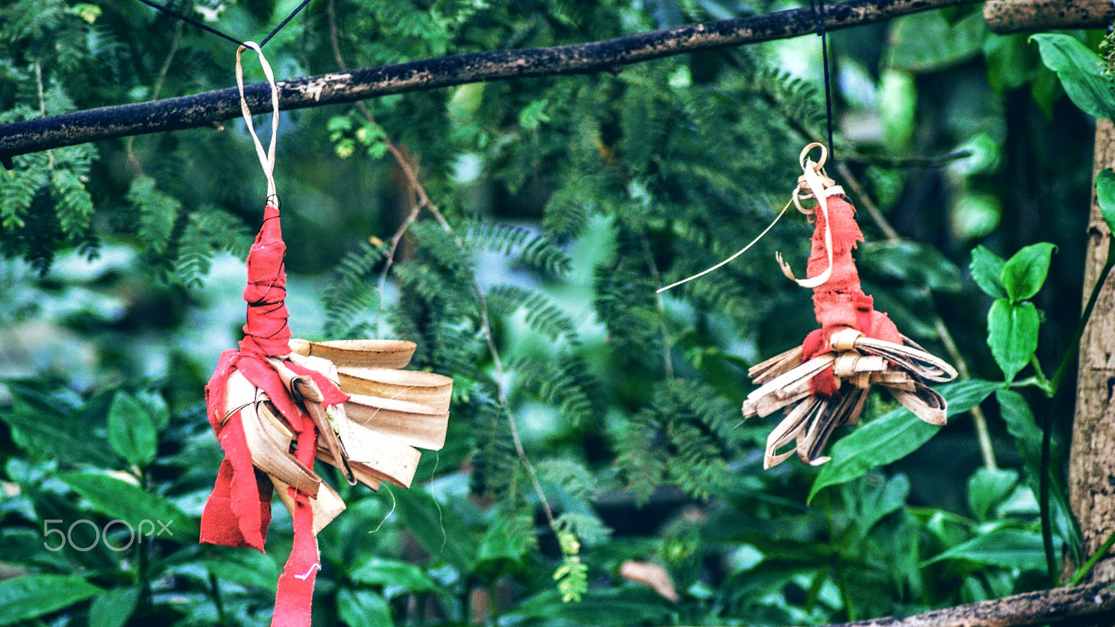 Sony Alpha DSLR-A200 + Tamron Lens (255) sample photo. Knots photography