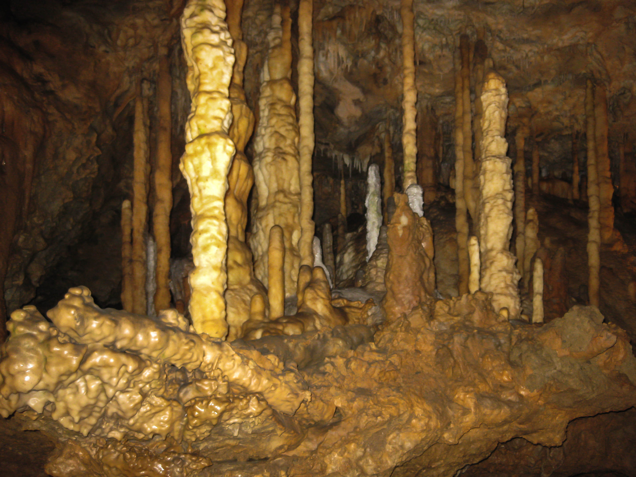 Canon PowerShot SD790 IS (Digital IXUS 90 IS / IXY Digital 95 IS) sample photo. Han-sur-lesse ( belgium) - grotte photography