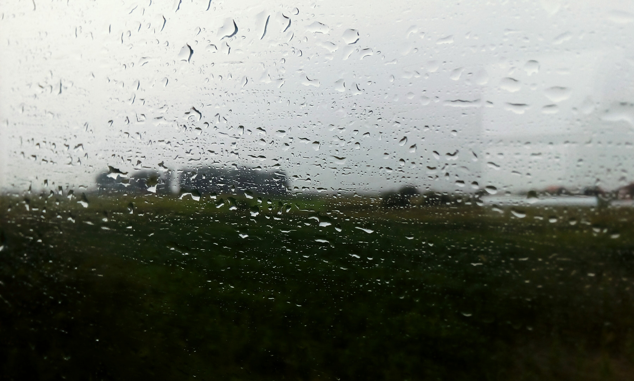 ASUS Zenfone Go (ASUS_Z00VD) sample photo
