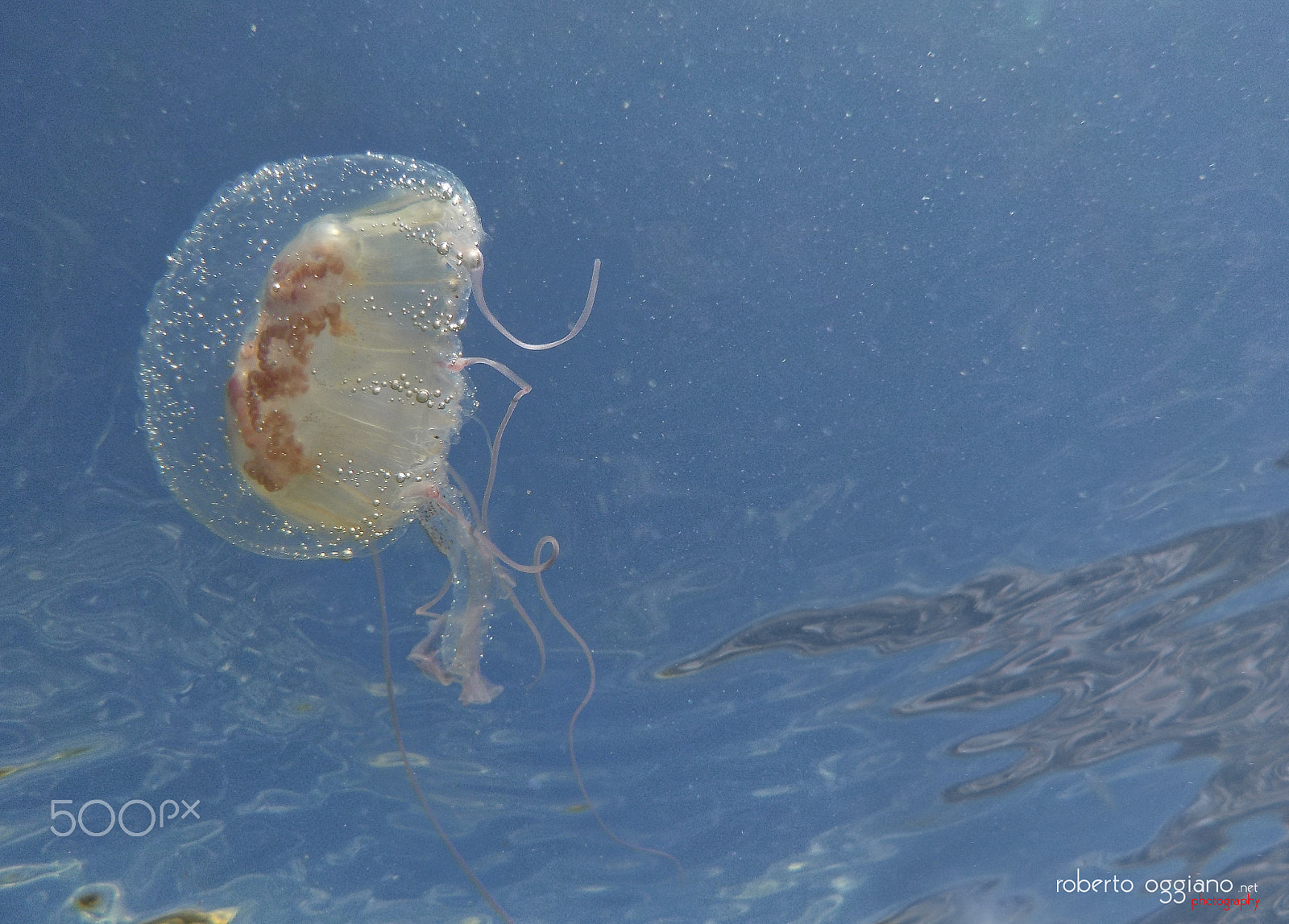 Nikon Coolpix S33 sample photo. Medusa photography