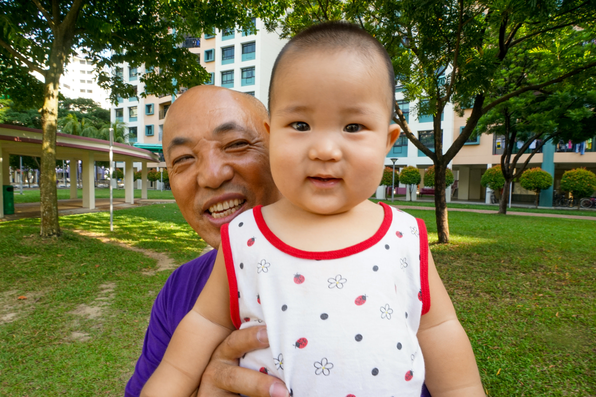 Sony a7 + FE 21mm F2.8 sample photo. Grandson.jpg photography