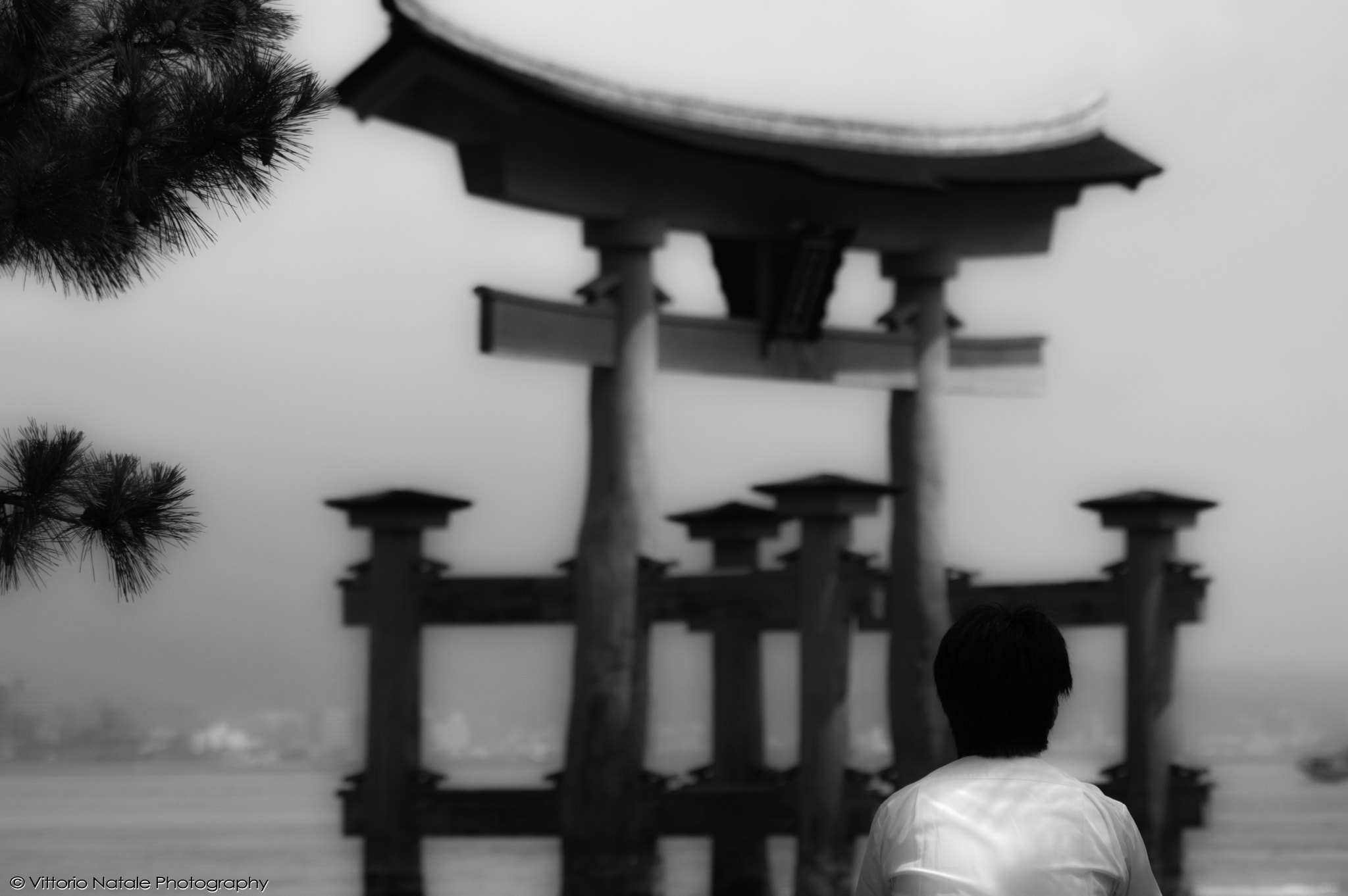 smc PENTAX-F 70-210mm F4-5.6 sample photo. Admire the torii gate photography