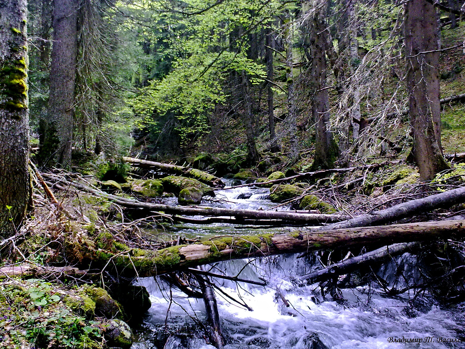Nokia 5530 sample photo. Mountain river photography