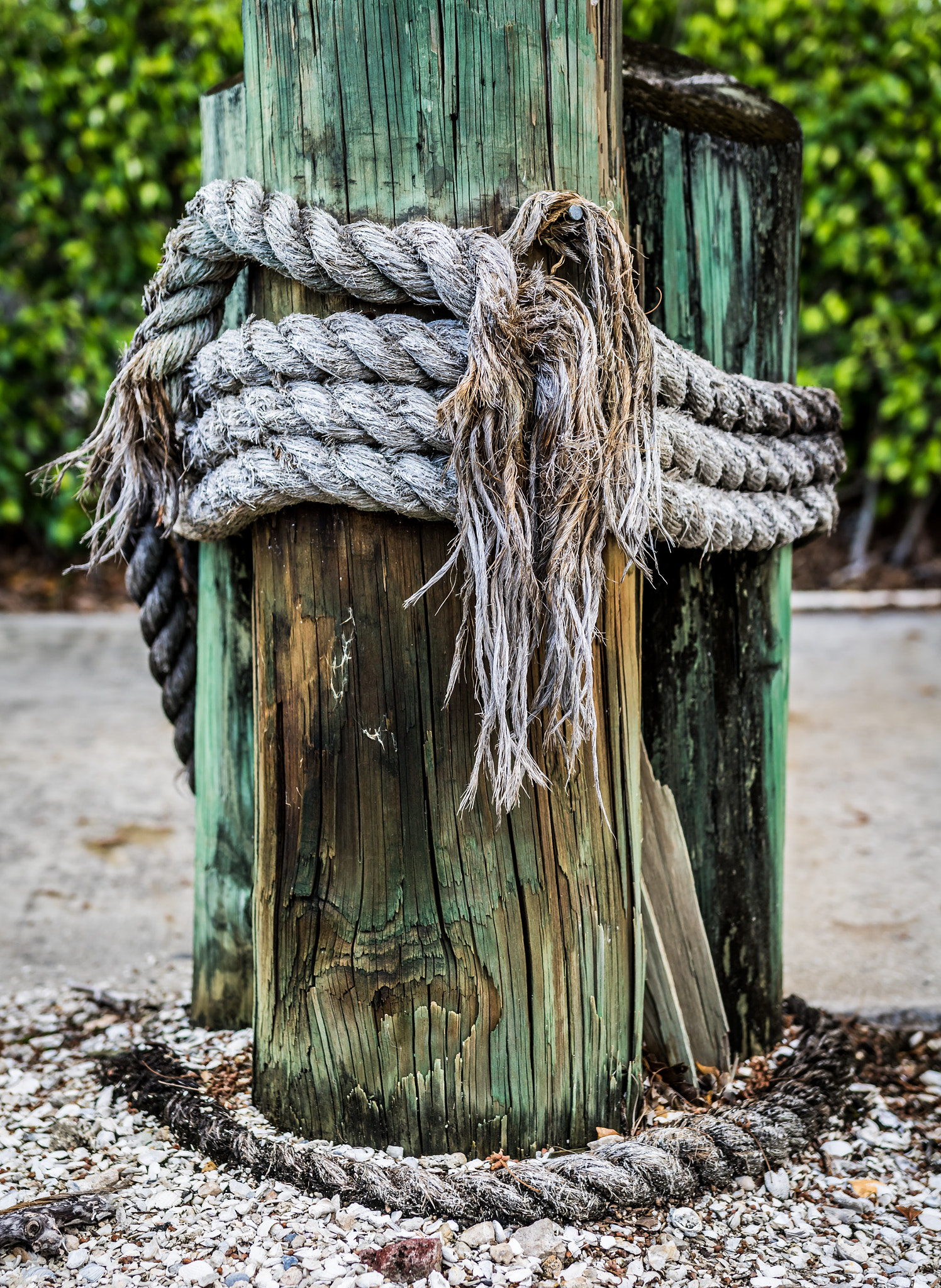 Sigma 18-35mm f/1.8 DC HSM sample photo. Old rope photography
