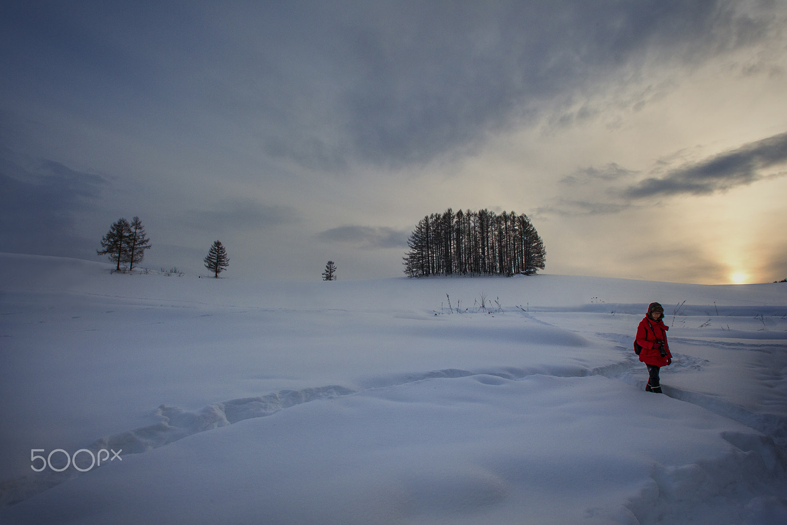 Canon EF 14mm F2.8L USM sample photo. The winter's tale photography