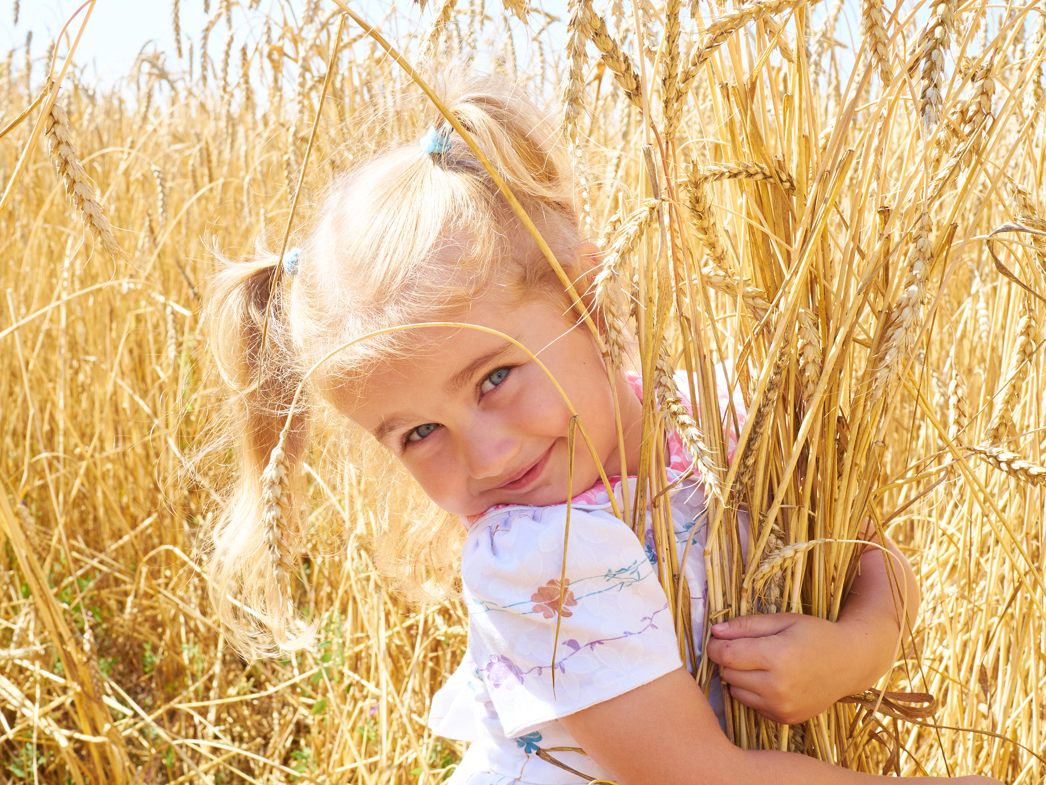 Olympus OM-D E-M10 + Olympus M.Zuiko Digital 25mm F1.8 sample photo. Little girl on a wheat field in the sunset. photography