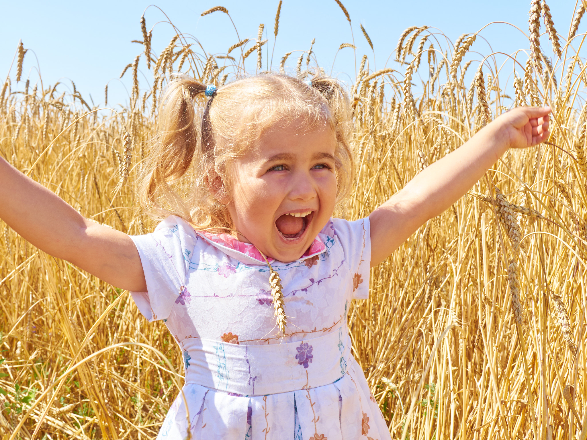 Olympus OM-D E-M10 + Olympus M.Zuiko Digital 25mm F1.8 sample photo. Little girl on a wheat field in the sunset. photography