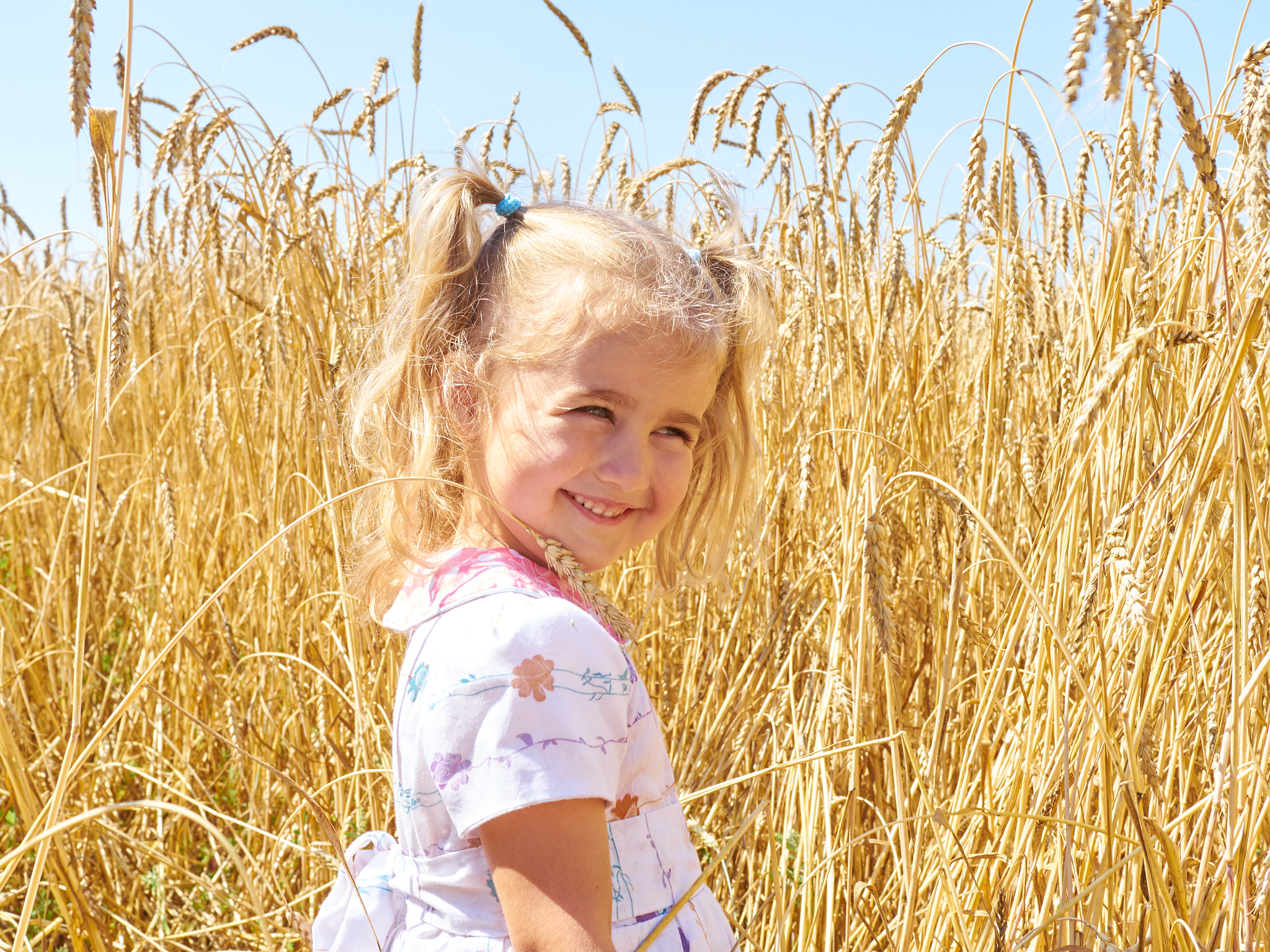 Olympus OM-D E-M10 + Olympus M.Zuiko Digital 25mm F1.8 sample photo. Little girl on a wheat field in the sunset. photography