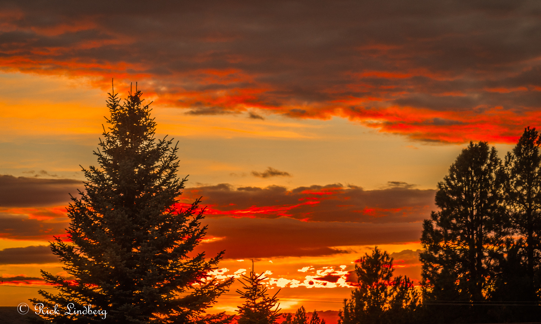 Pentax K-50 sample photo. Evening reds photography