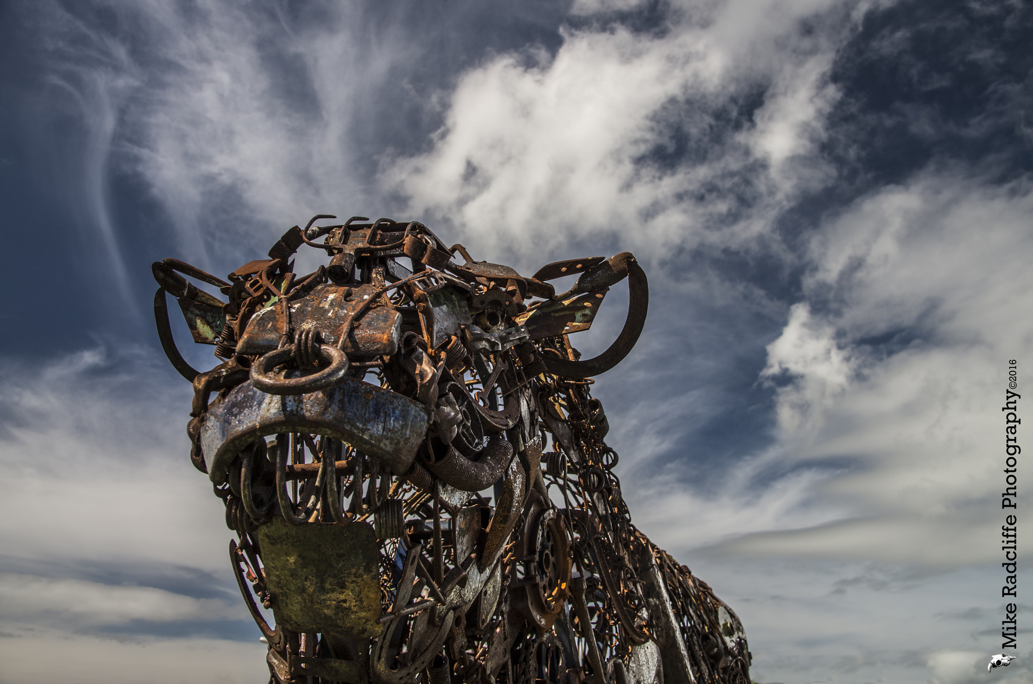 Sigma 17-50mm F2.8 EX DC HSM sample photo. The iron bull photography