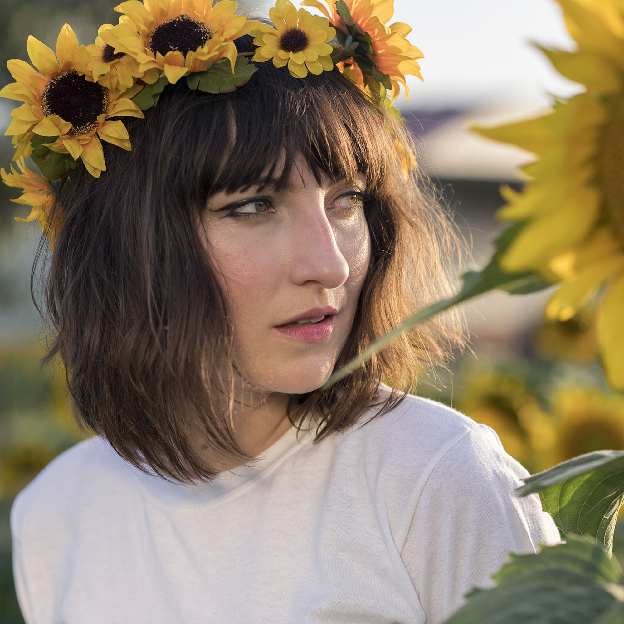 Nikon D5 + Nikon AF-S Nikkor 85mm F1.4G sample photo. Sunflowers photography