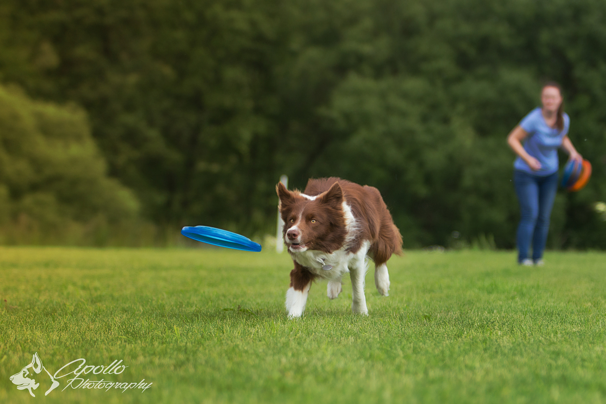 Canon EF 70-200mm F2.8L USM sample photo. Alf photography