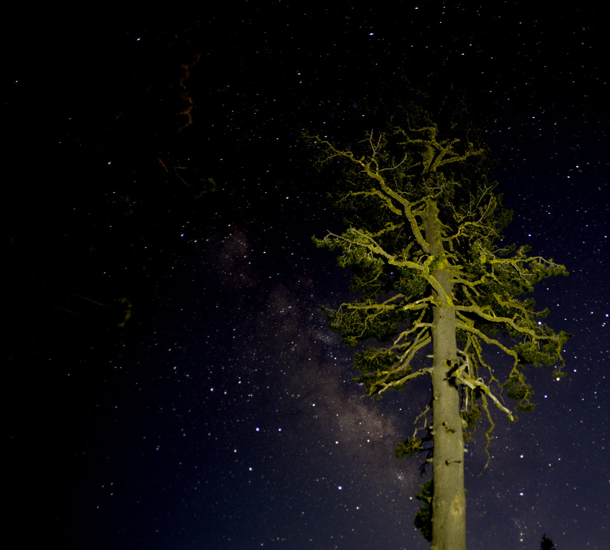 Nikon D610 + AF Nikkor 20mm f/2.8 sample photo. Night sky bear valley california photography