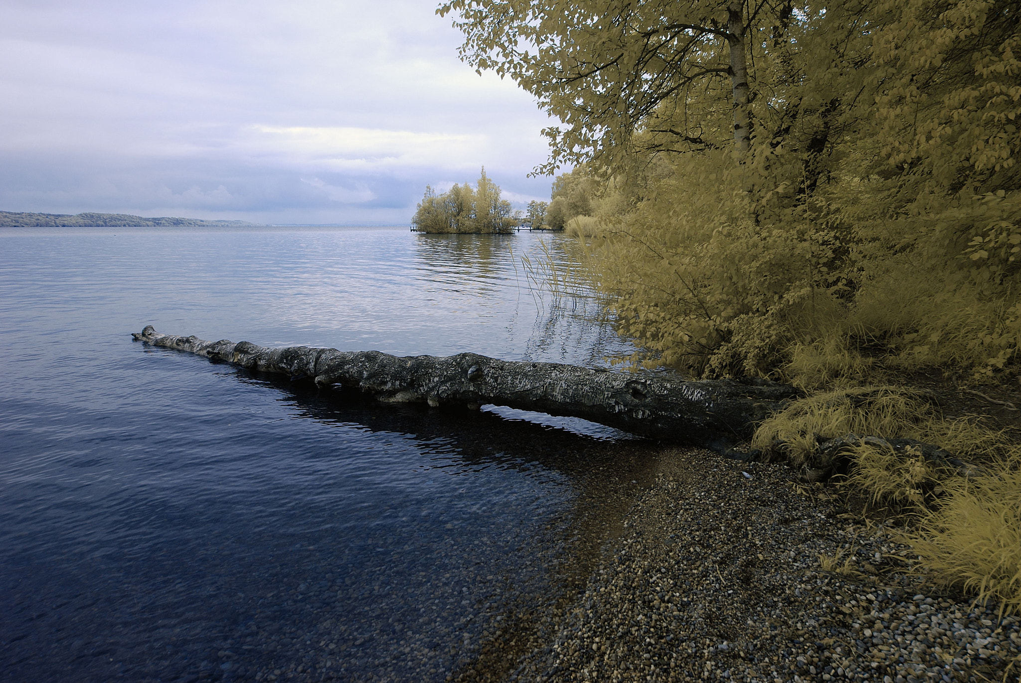 Nikon AF-S Nikkor 14-24mm F2.8G ED sample photo. Ir photography