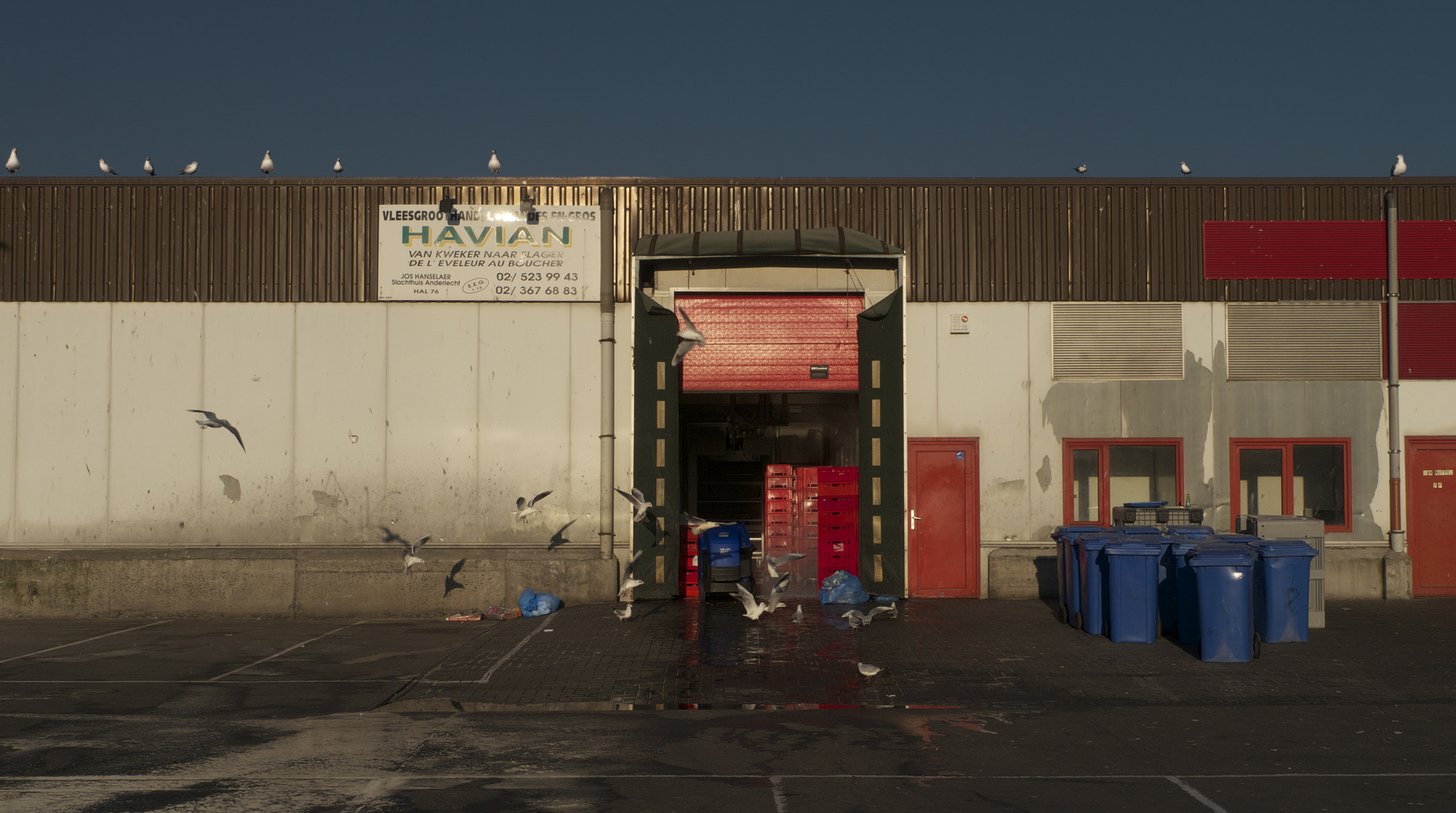 Panasonic Lumix DMC-GH2 sample photo. Meat wholesale photography