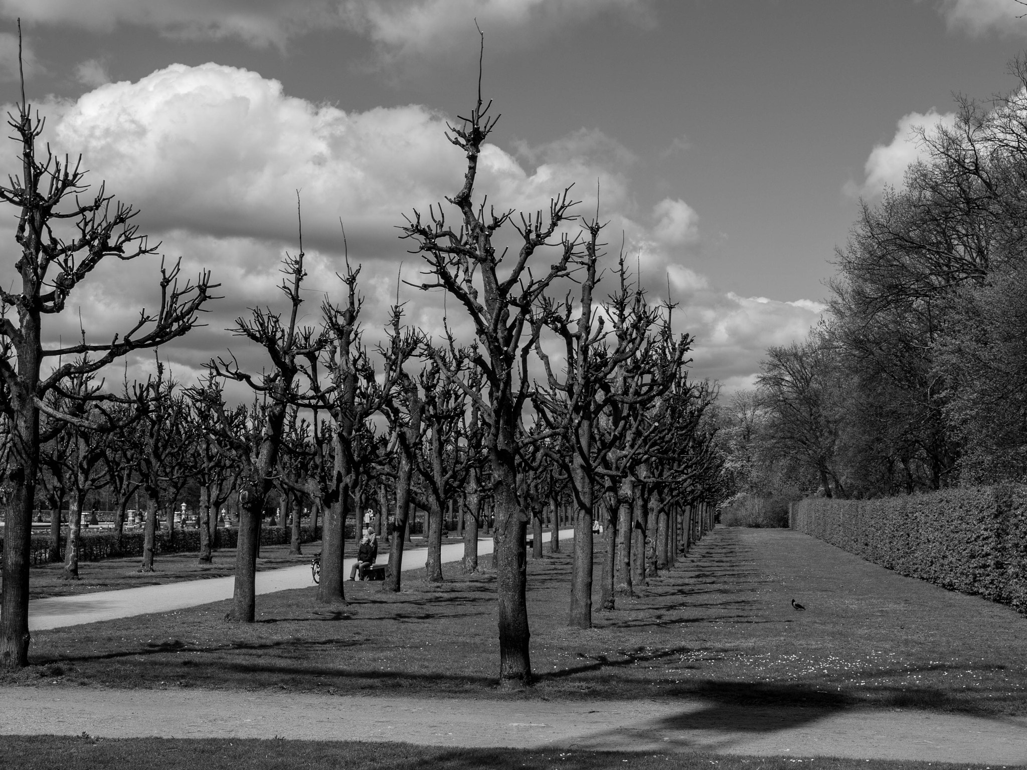 Olympus Zuiko Digital ED 12-60mm F2.8-4.0 SWD sample photo. Berlin bw photography