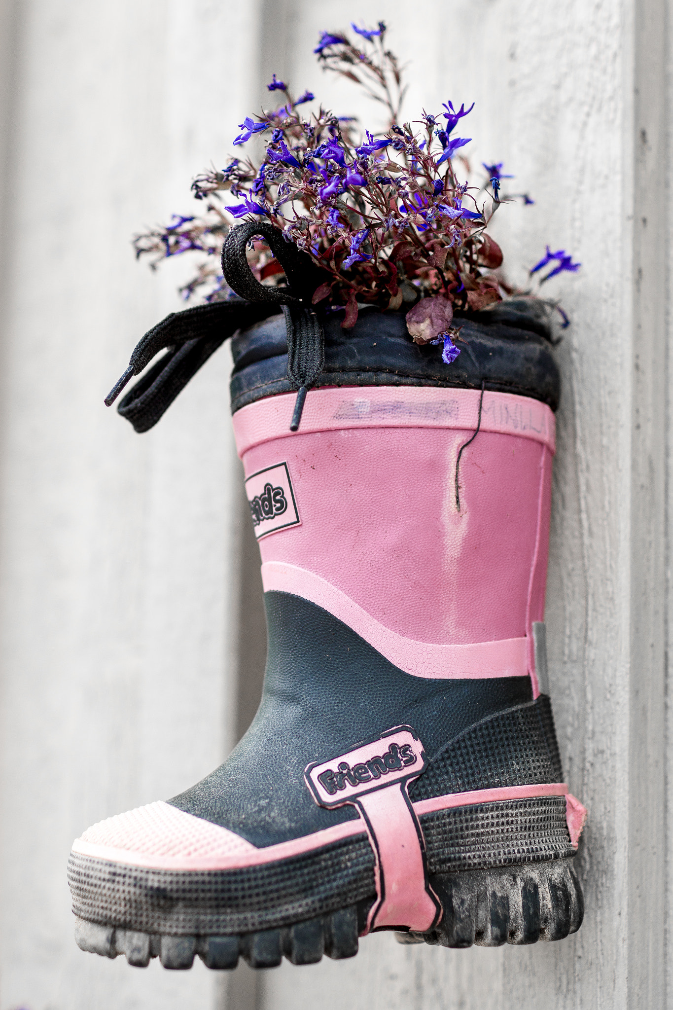 Canon EOS 70D + Canon EF 35mm F1.4L USM sample photo. A boot with flowers photography