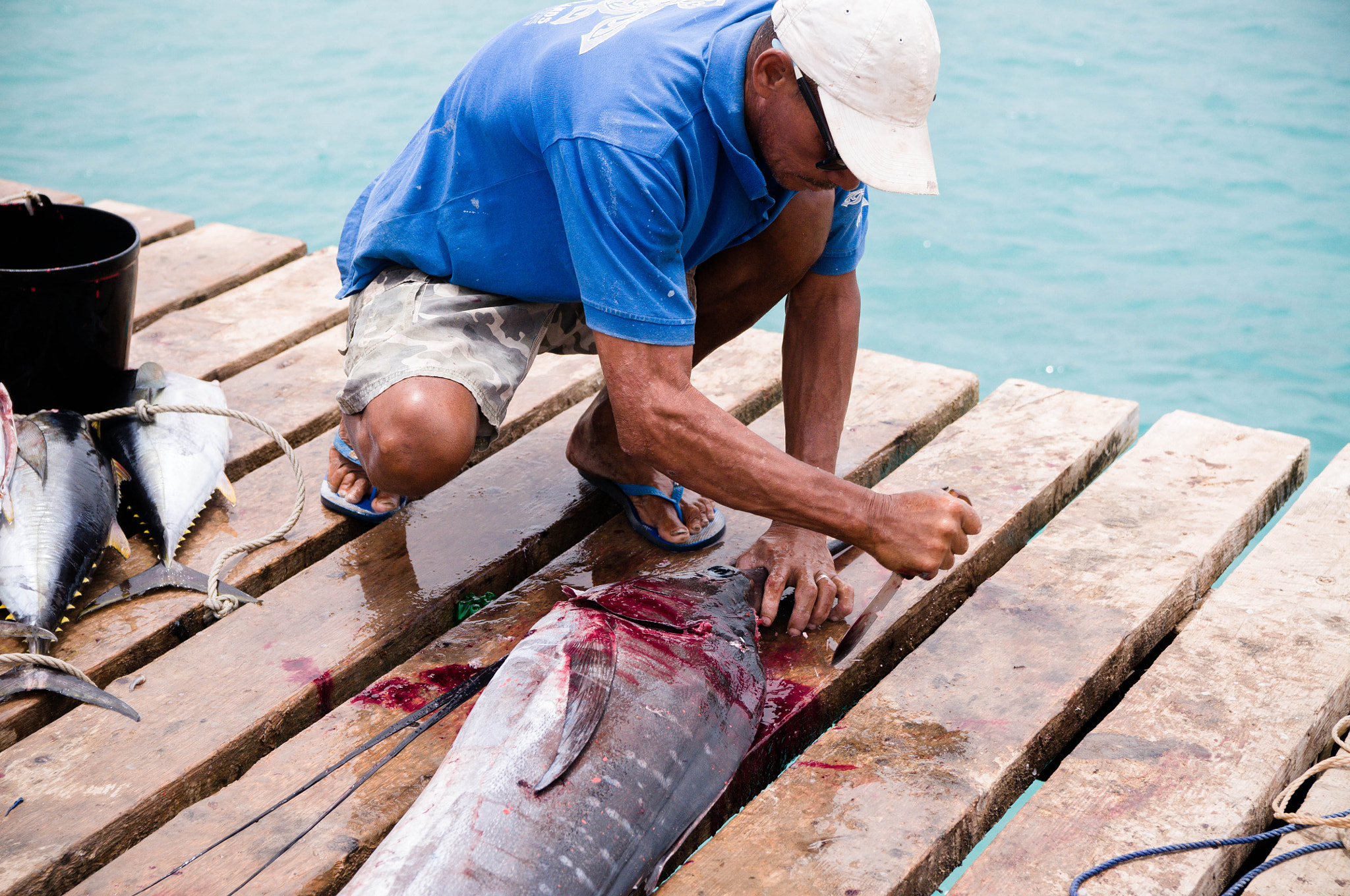 Nikon D300 + Sigma 18-50mm F2.8 EX DC Macro sample photo. Swordfish photography