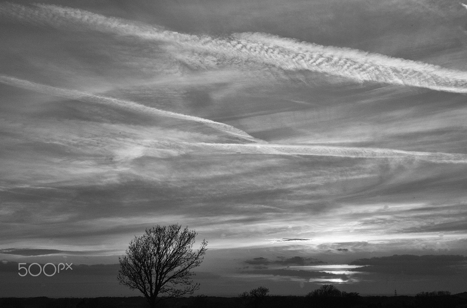 Canon EOS 450D (EOS Rebel XSi / EOS Kiss X2) sample photo. Lone tree at sunset photography