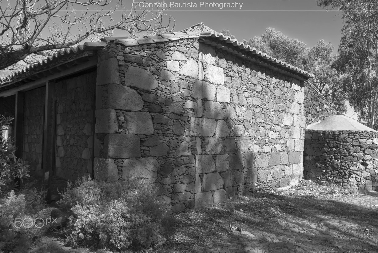 Nikon D40X sample photo. The house of rising sun. photography