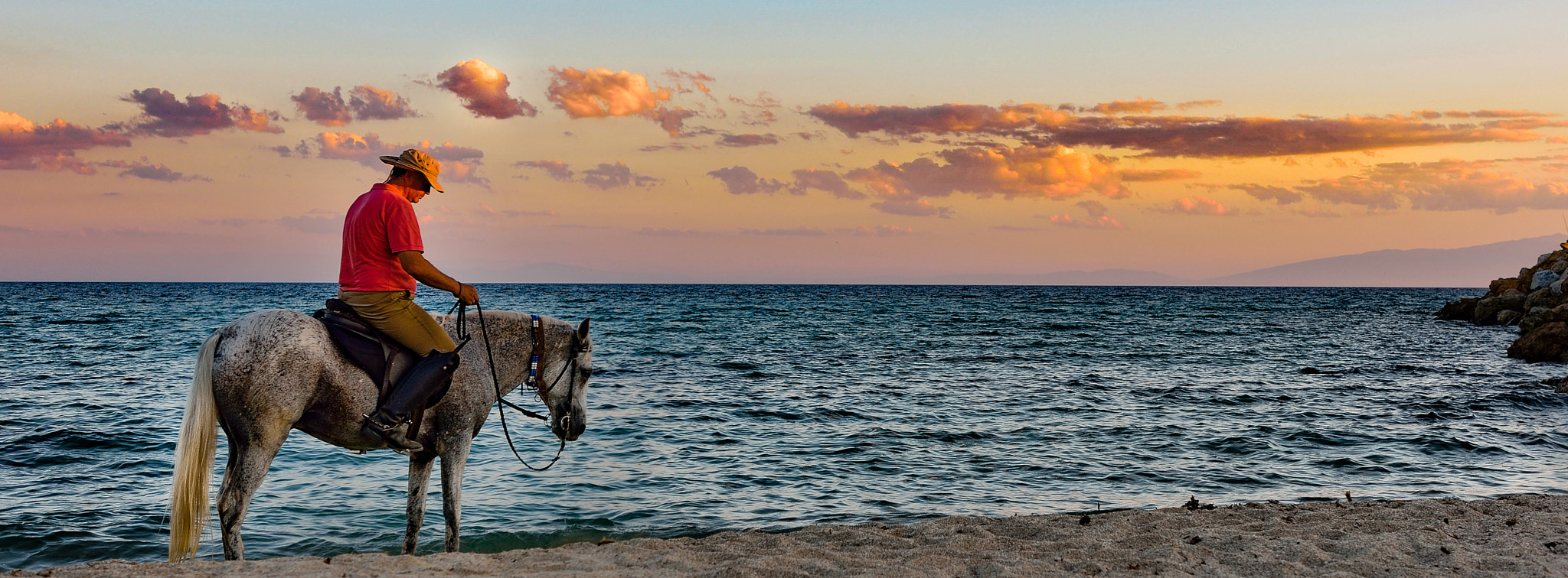 Nikon D90 + Sigma 18-35mm F1.8 DC HSM Art sample photo. Horse to the sea photography